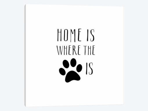 Home Is