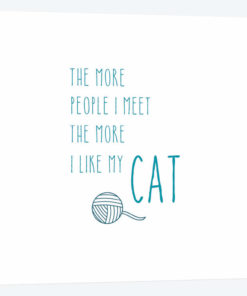 The More I Like My Cat