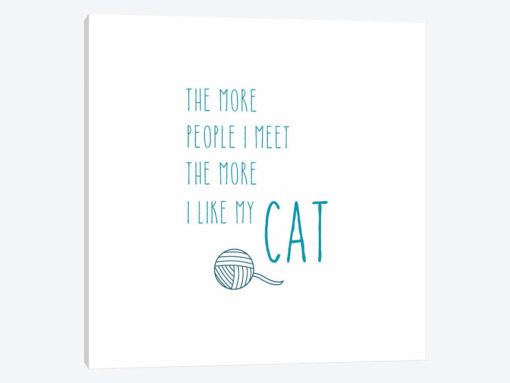 The More I Like My Cat