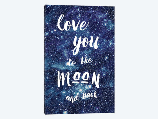 Love You To The Moon