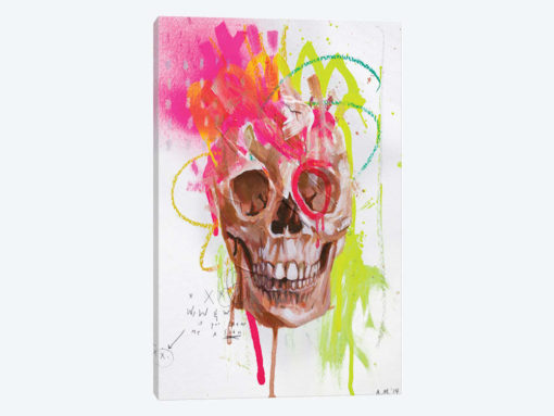 DH Bones