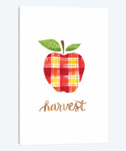 Apple Harvest II
