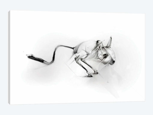 Egyptian Jerboa