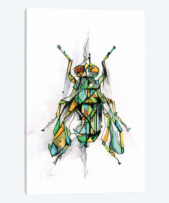 Fly