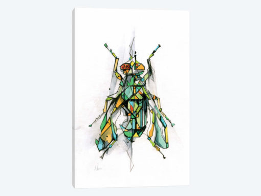 Fly