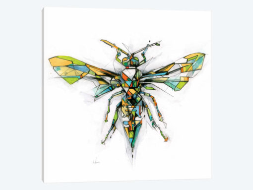 Hornet