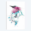 Hummingbird