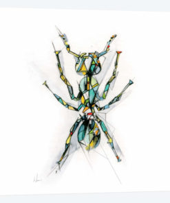Ant