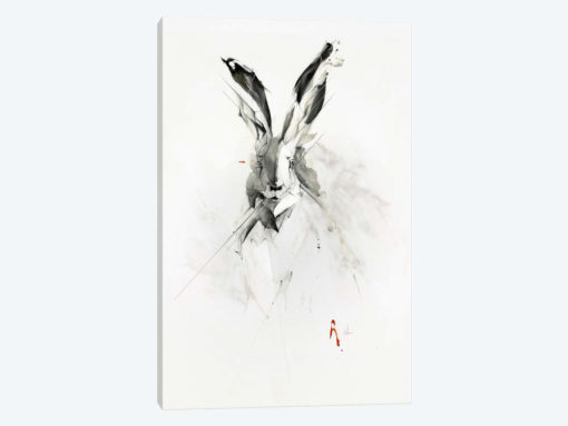 Mr. Rabbit