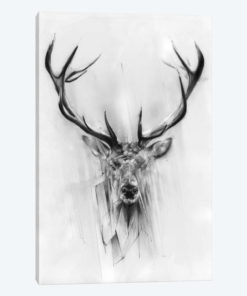 Red Deer