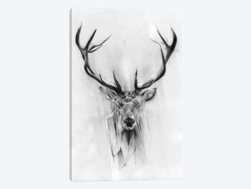 Red Deer