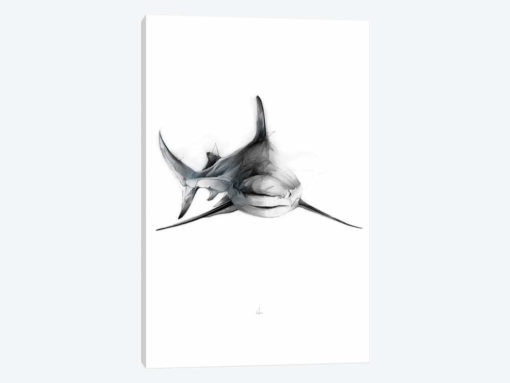 Shark II