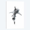 Shark III