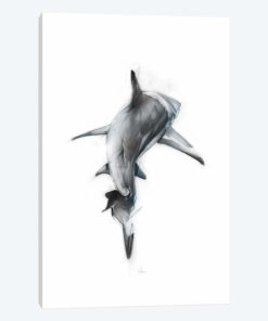 Shark III