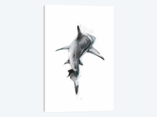 Shark III