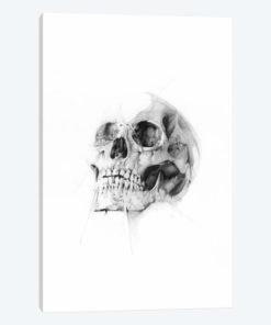 Skull LII