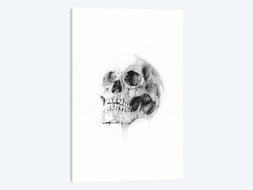 Skull LII