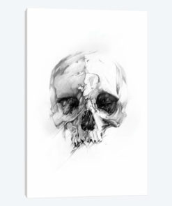 Skull XLVI