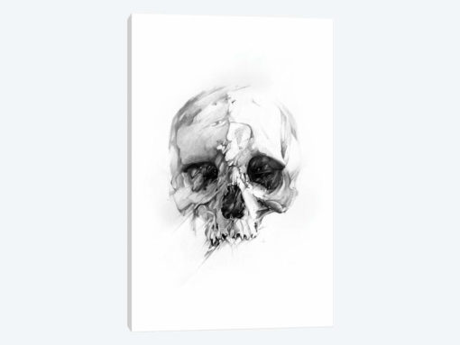 Skull XLVI