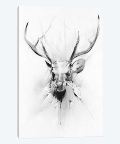 Stag