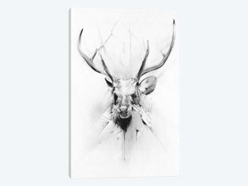 Stag
