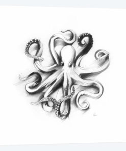 Flat Octopus