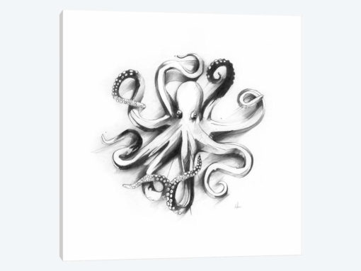 Flat Octopus