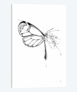 Butterfly Fuel