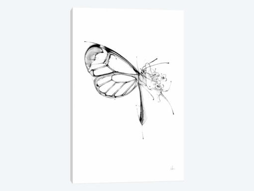 Butterfly Fuel