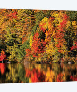 USA, New Hampshire, White Mountains, Fall reflection on Russell Pond
