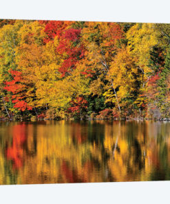 USA, New Hampshire, White Mountains, Reflections on Russell Pond