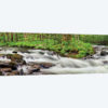 USA, North Carolina, Great Smoky Mountains National Park, Straight Fork