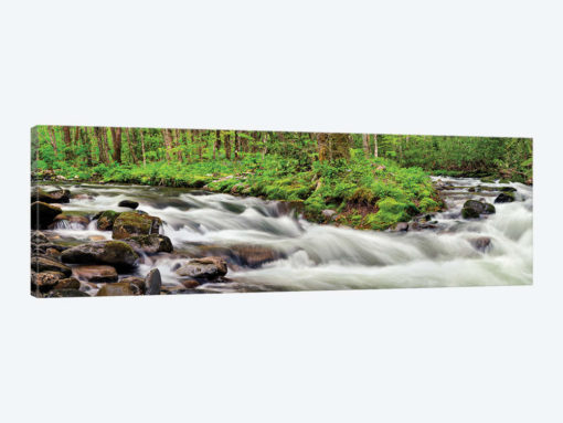 USA, North Carolina, Great Smoky Mountains National Park, Straight Fork