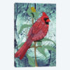 Virginia Cardinal