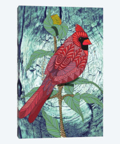 Virginia Cardinal