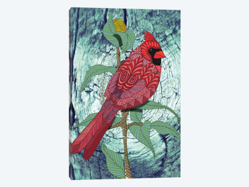 Virginia Cardinal