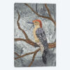 Woodpecker