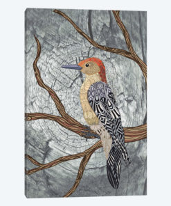 Woodpecker