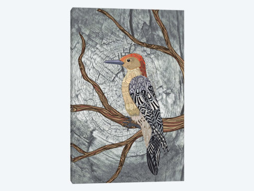 Woodpecker