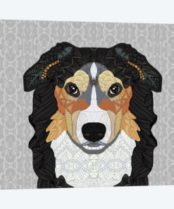 Zecke - Mountain Dog