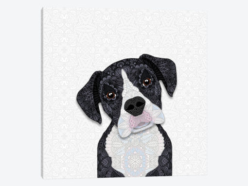 Black & White Boxer