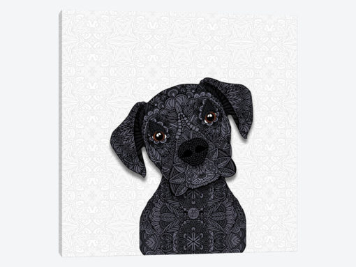 Black Boxer