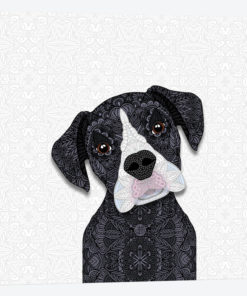 Black Boxer, White Snout