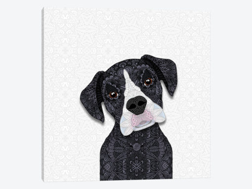 Black Boxer, White Snout