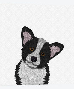 Black Corgi