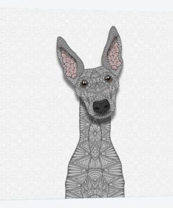 Blue Greyhound