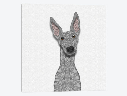 Blue Greyhound
