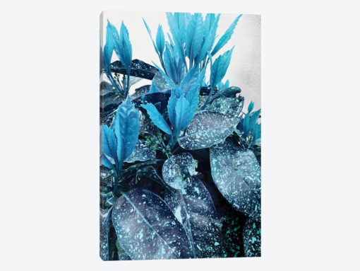 Blue Mood