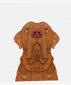Bordeaux Mastiff