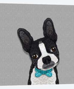 Bow Tie Boston